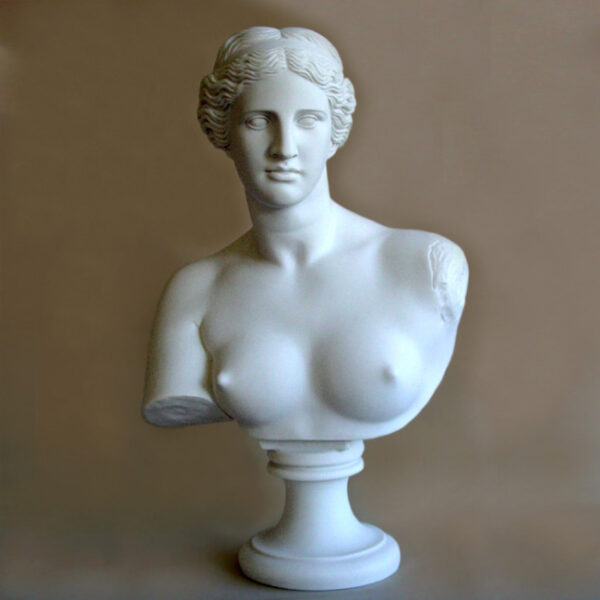 Bust statue of Aphrodite in White color