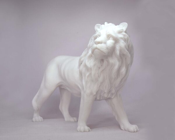 The statue of a male Lion looking high in White color